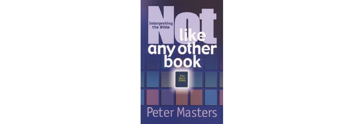 Image of the book cover of Not Like Any Other Book